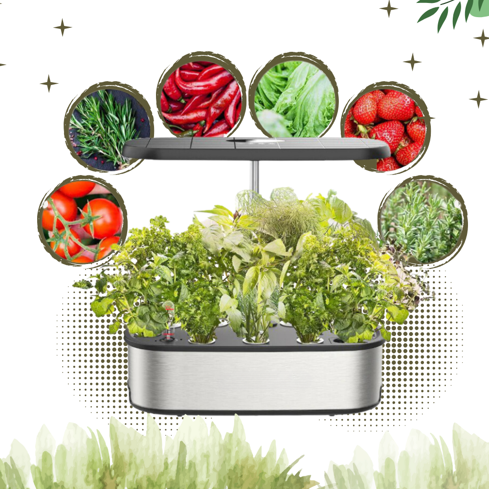 Jardin hydroponique avec 12 capsules de plantes