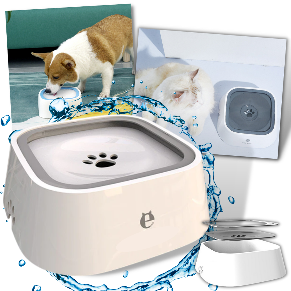 Bol d'eau flottant pour animaux