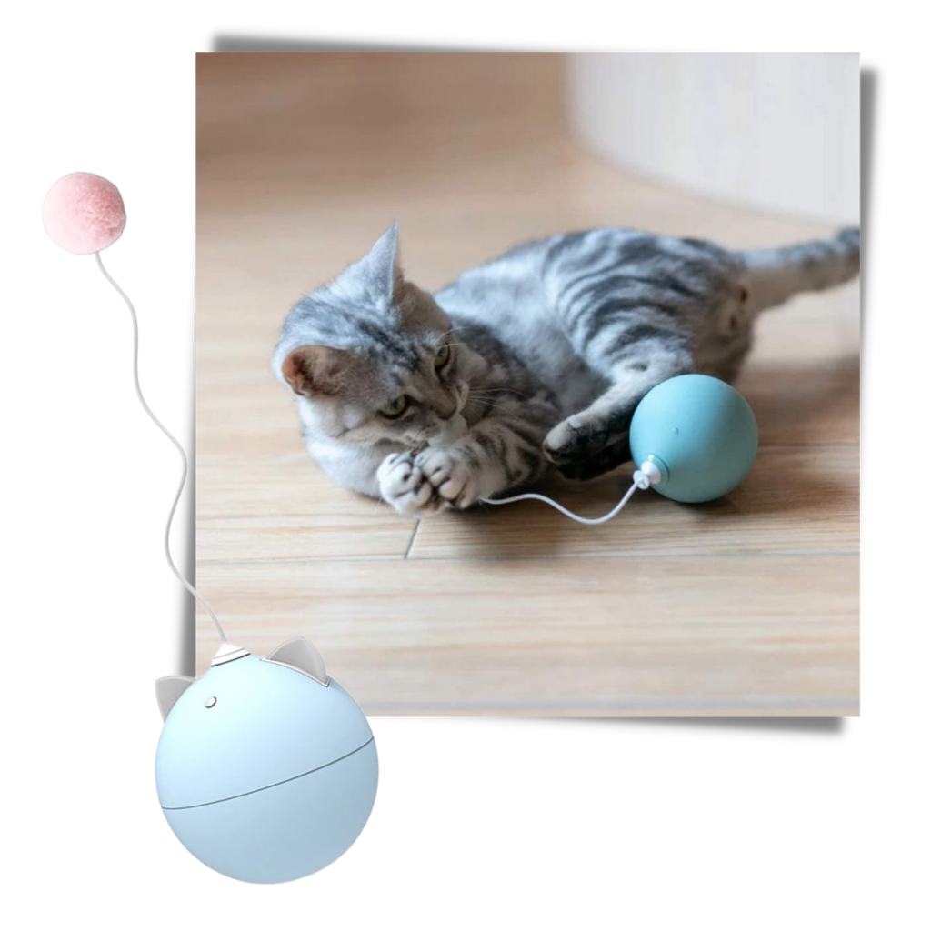 Balle -Jouet pour chat avec fonction d'auto-roulement