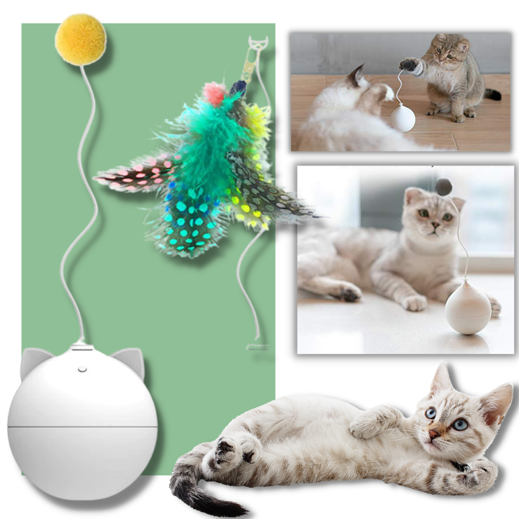 Balle -Jouet pour chat avec fonction d'auto-roulement