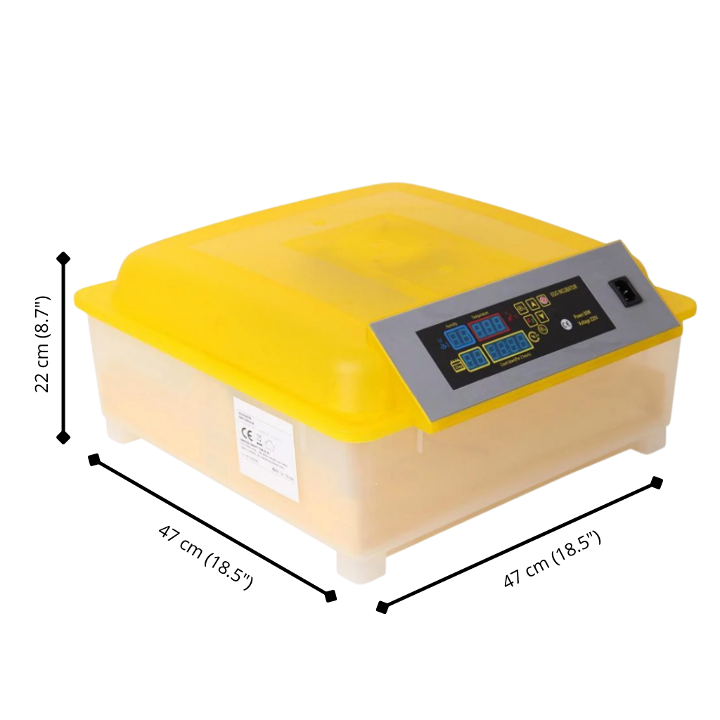 Incubateur automatique d'oeufs (48 oeufs)