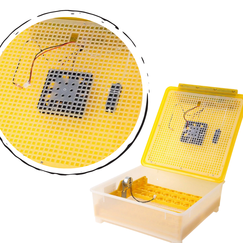 Incubateur automatique d'oeufs (48 oeufs)