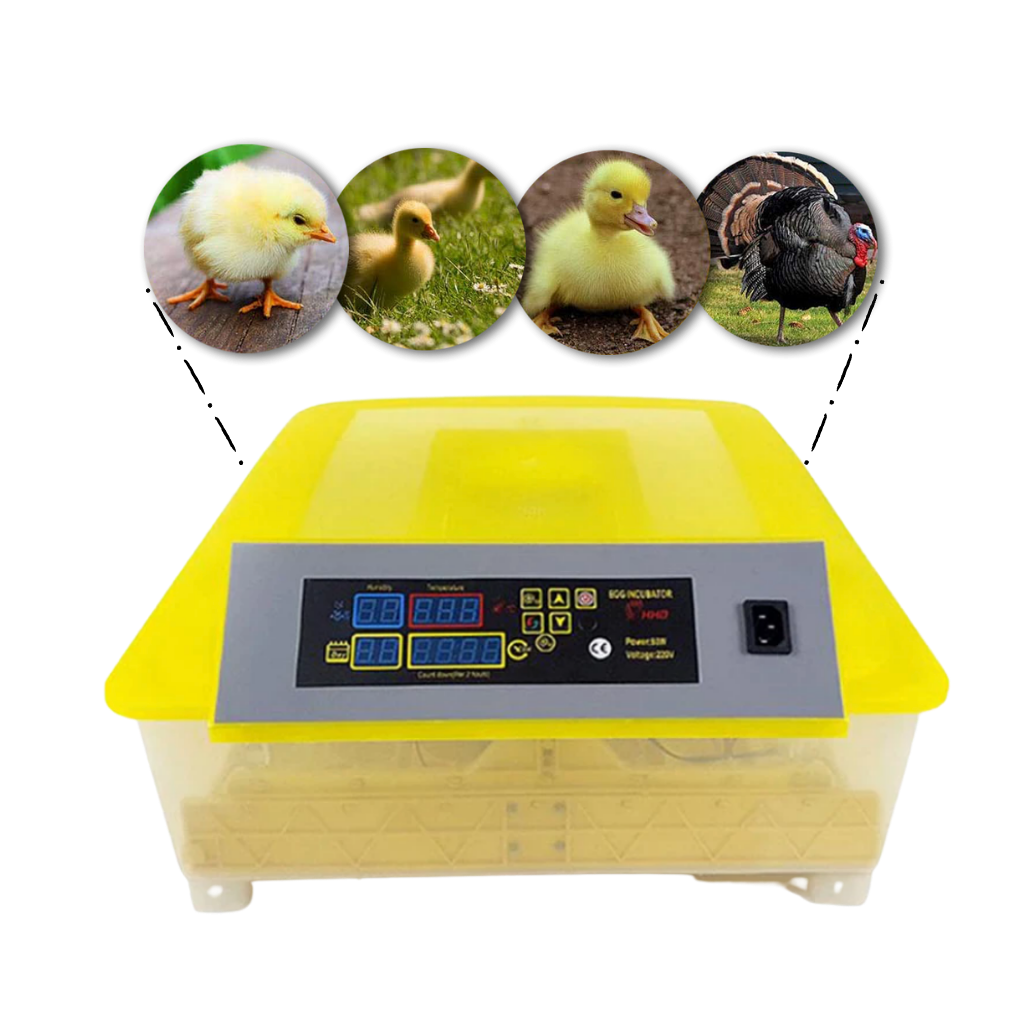 Incubateur automatique d'oeufs (48 oeufs)