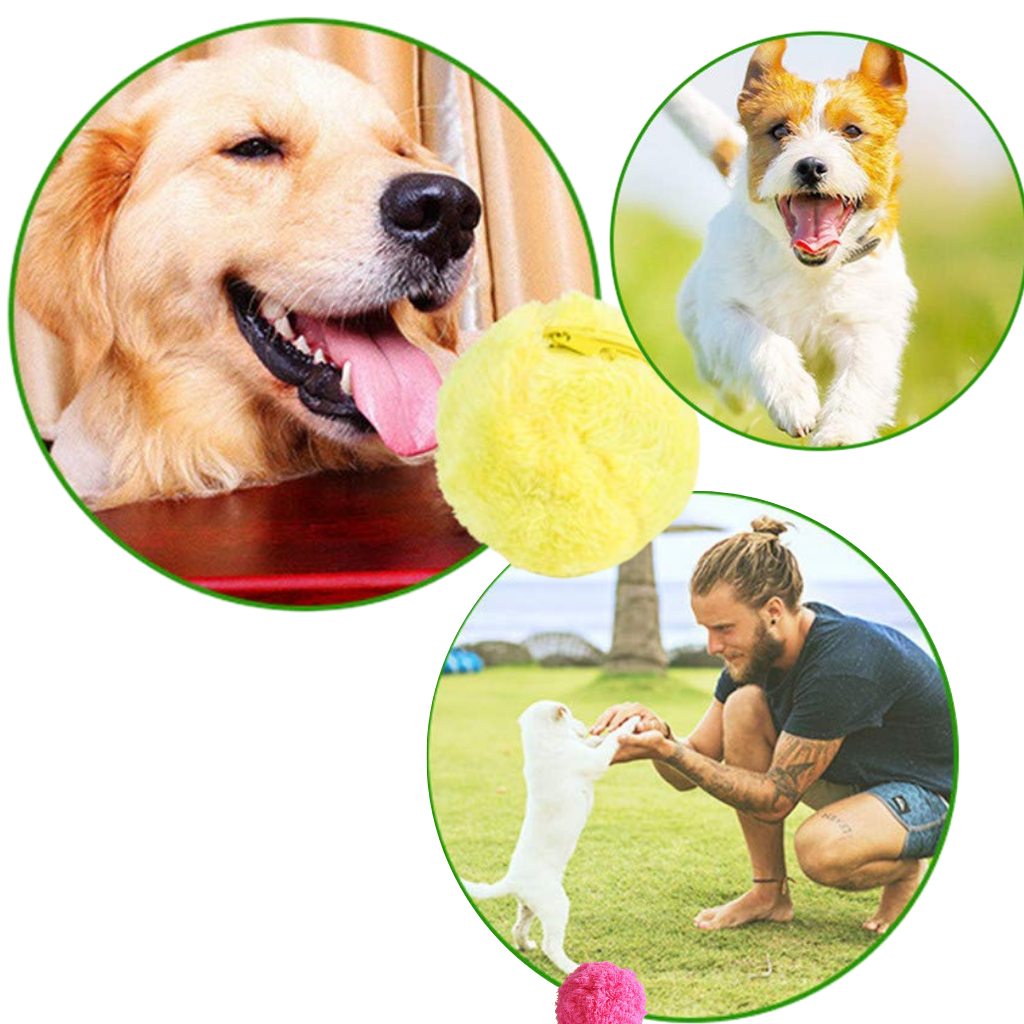 Balle rotative automatique pour chien avec 4 housses