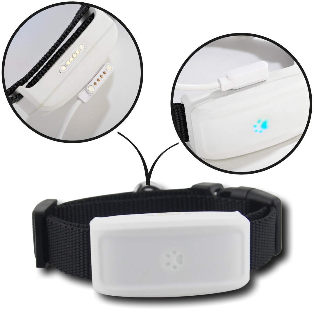 Collier de repérage gps pour animaux de compagnie