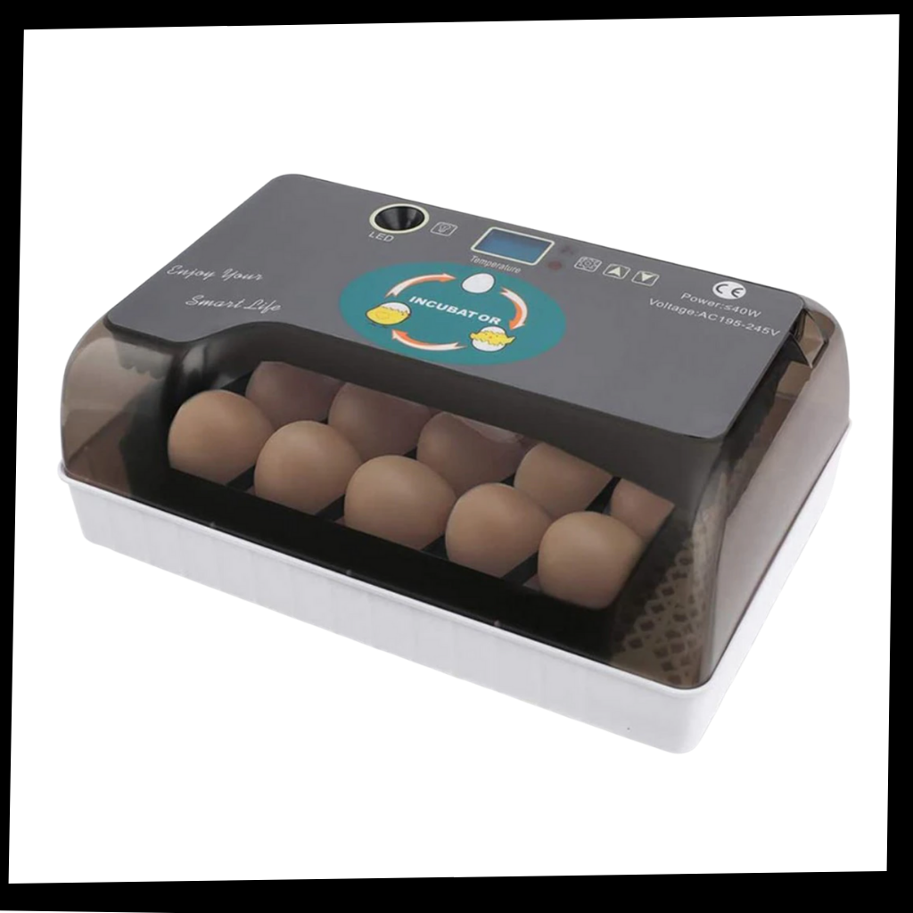 Incubateur automatique d'oeufs