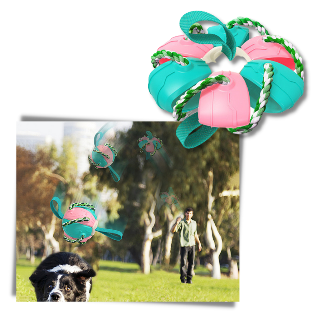 Ballon de frisbee pour chien