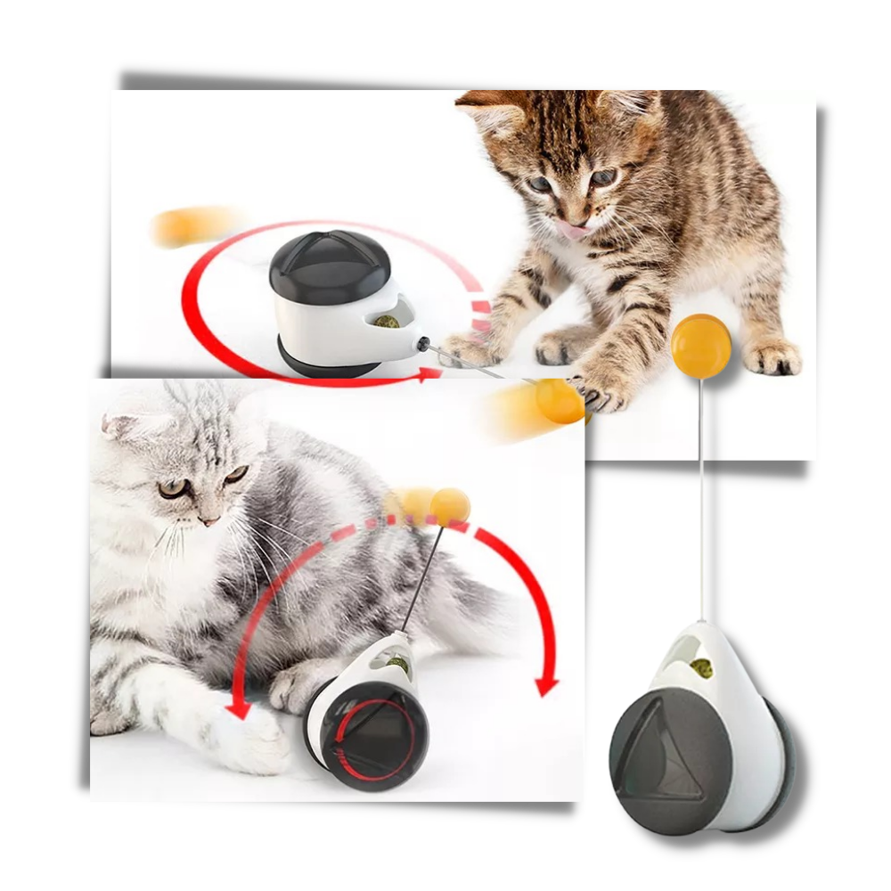 Jouet à balle interactif pour chats