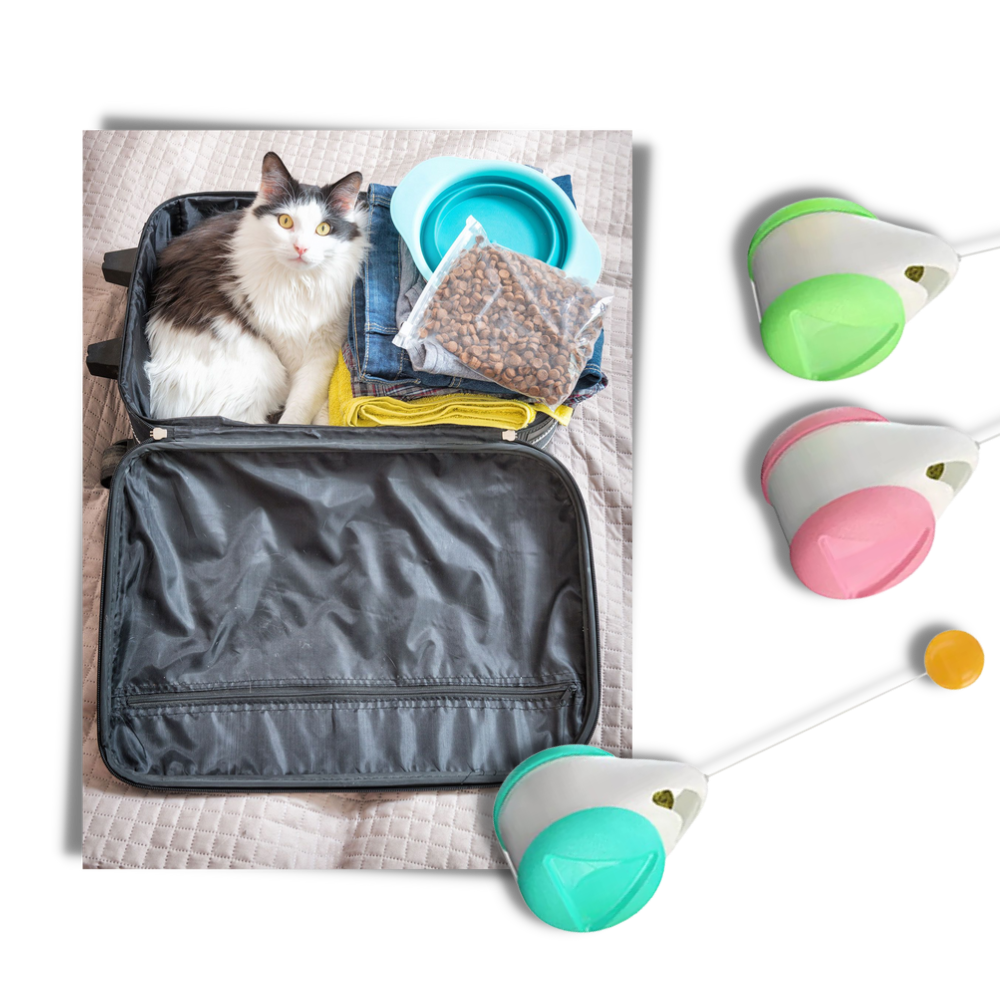 Jouet à balle interactif pour chats