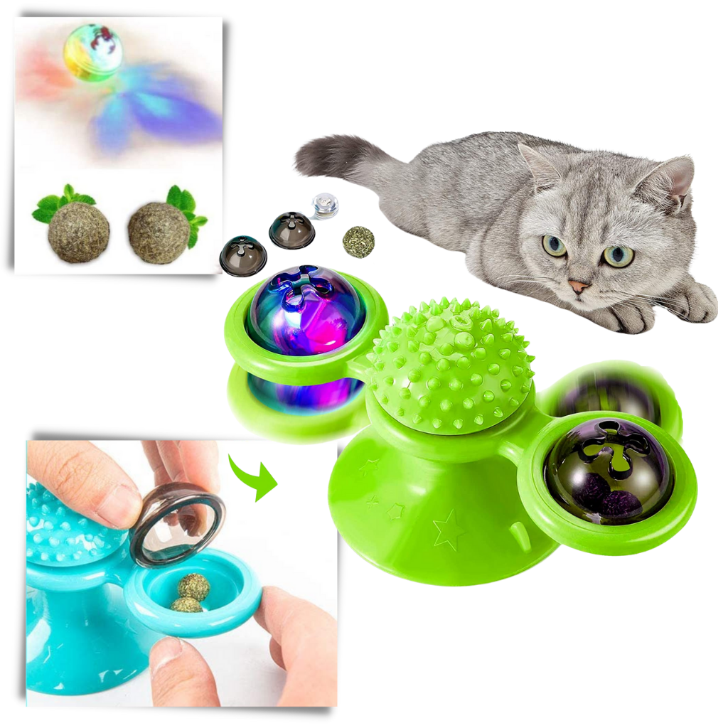 Jouet pour chat "moulin à vent rotatif" avec brosse