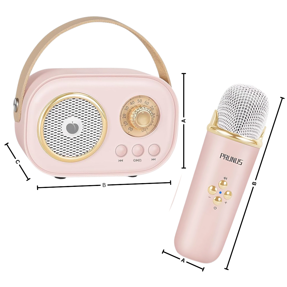 Mini Karaoké Bluetooth à double micro pour enfants