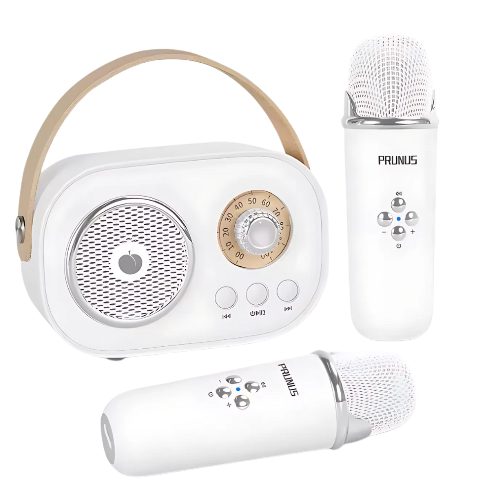 Mini Karaoké Bluetooth à double micro pour enfants