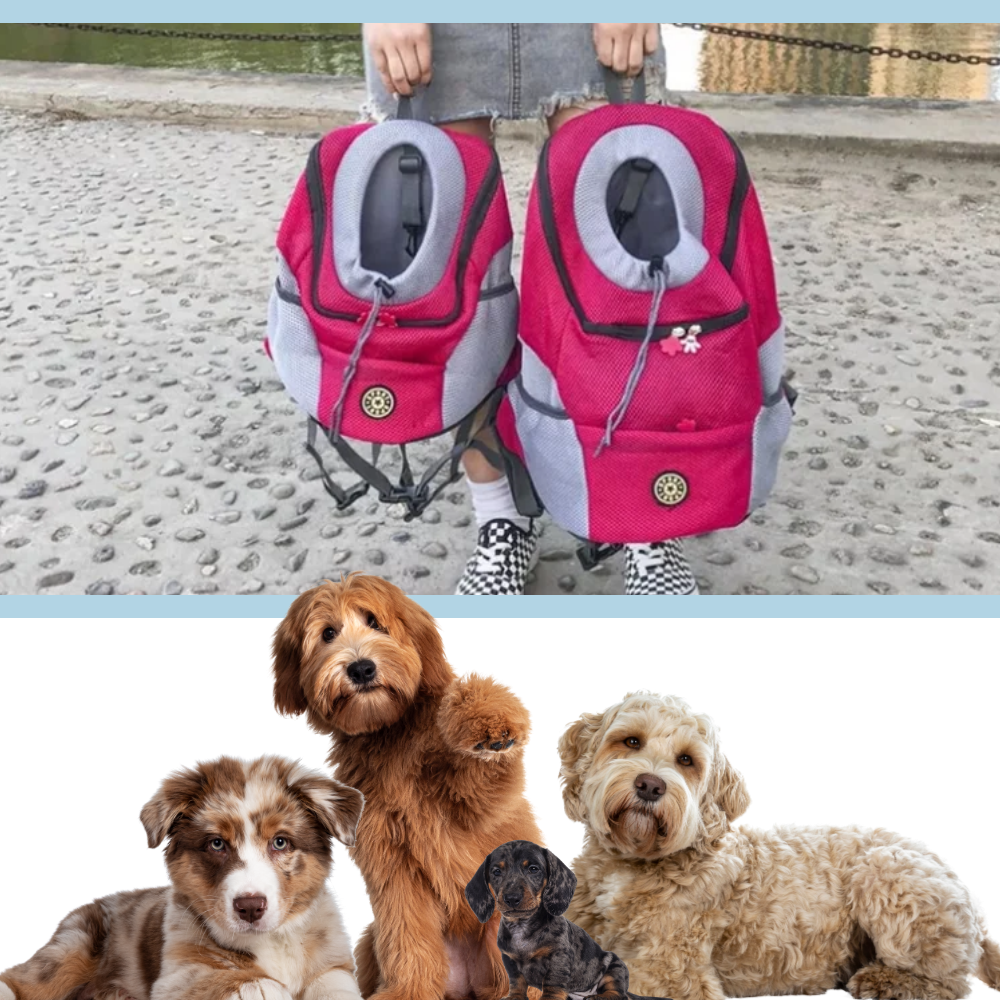 Sac à dos respirant de transport pour chien