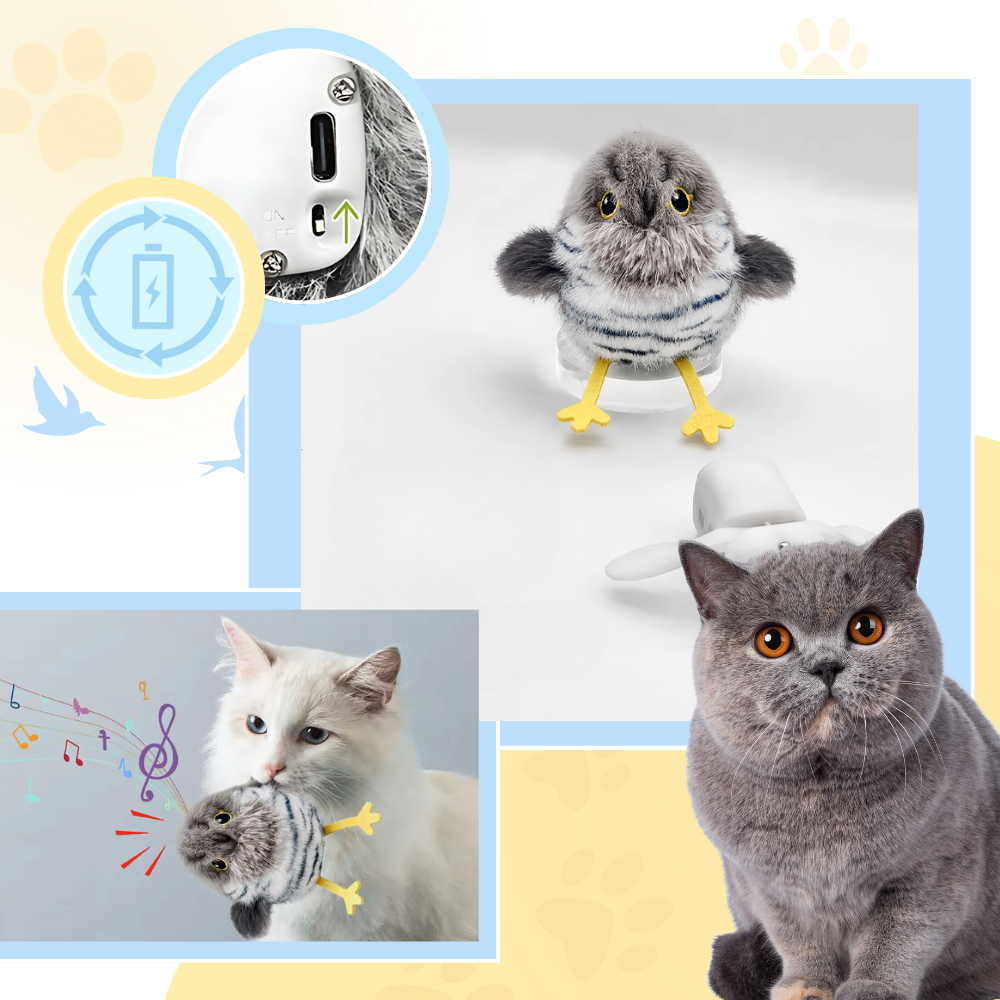 Jouet interactif oiseau pour chat