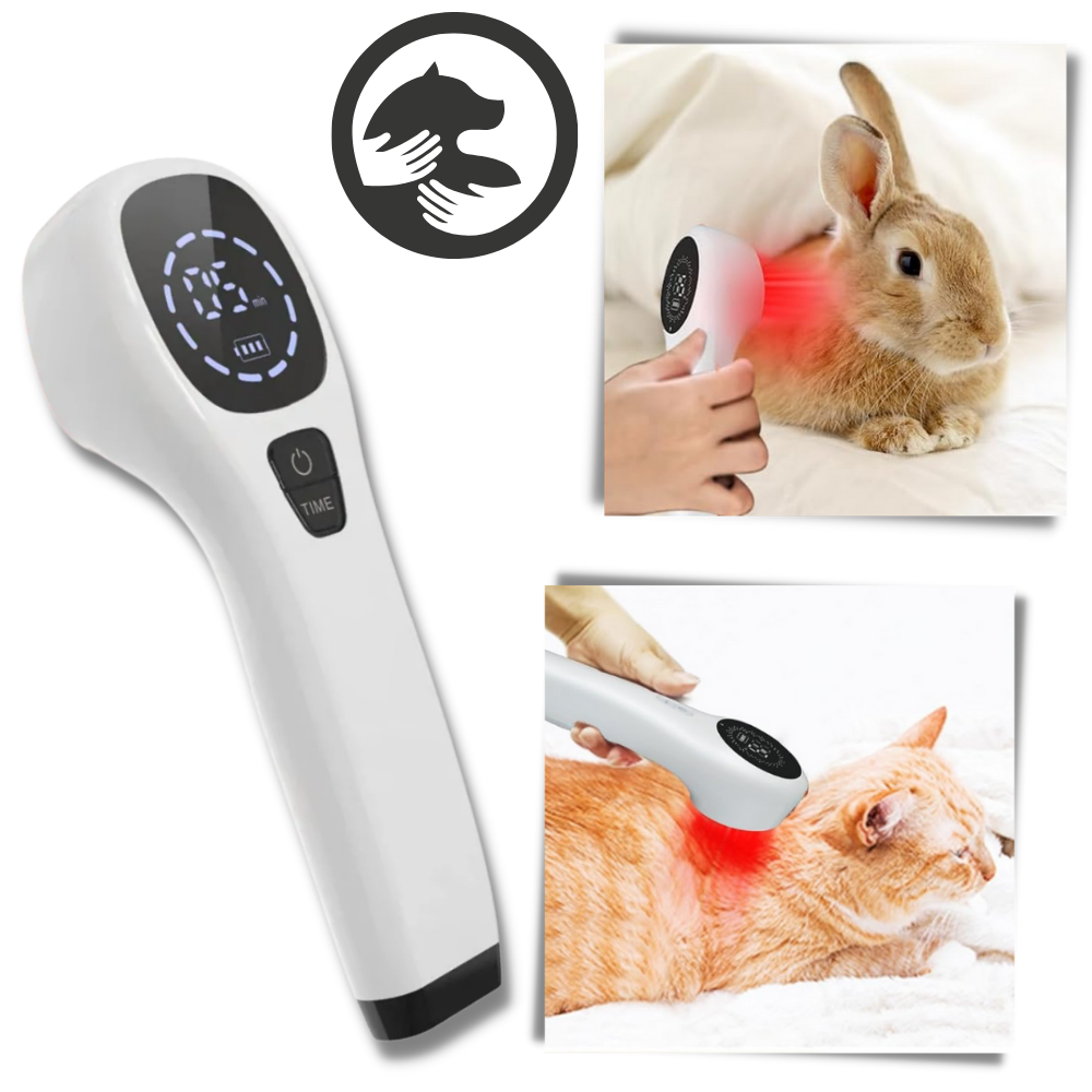 Appareil portatif de thérapie par infrarouge pour animaux de compagnie