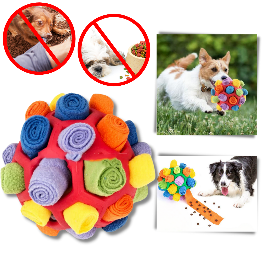 Balle à priser et de stimulation mental pour chiens