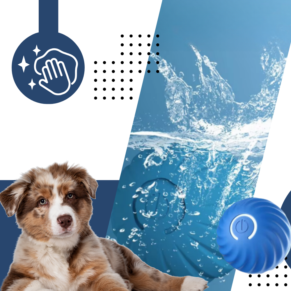 Balle pour chien avec évitement d'obstacles