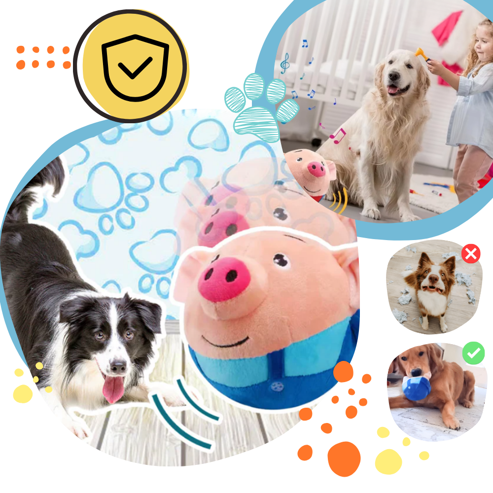 Jouet interactif pour chien