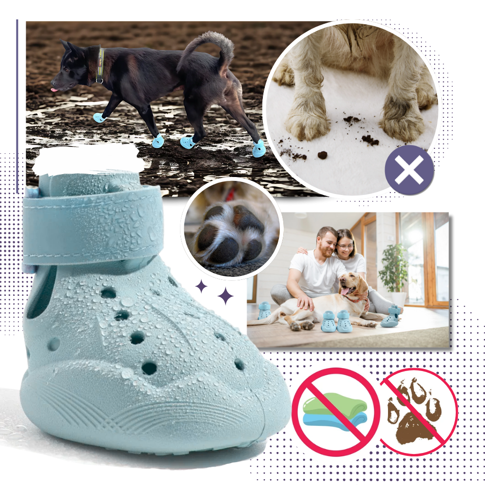 Bottines de protection pour pattes