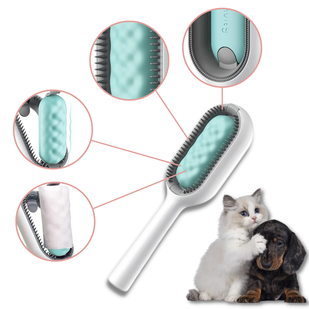 Brosse de toilettage avec réservoir d'eau
