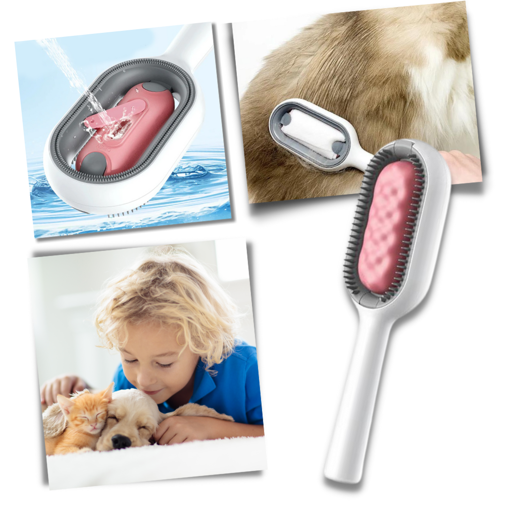 Brosse de toilettage avec réservoir d'eau