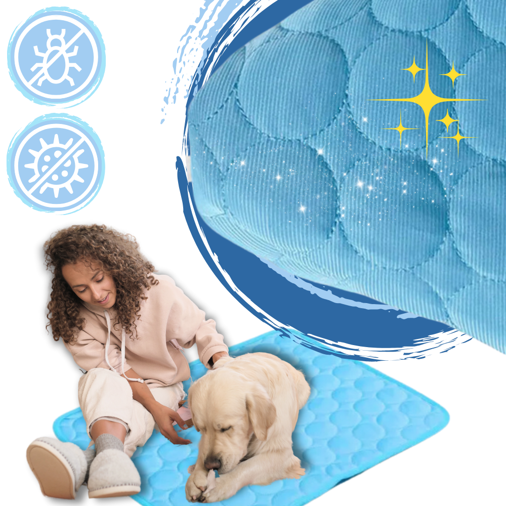 Tapis rafraîchissant en soie pour animaux de compagnie