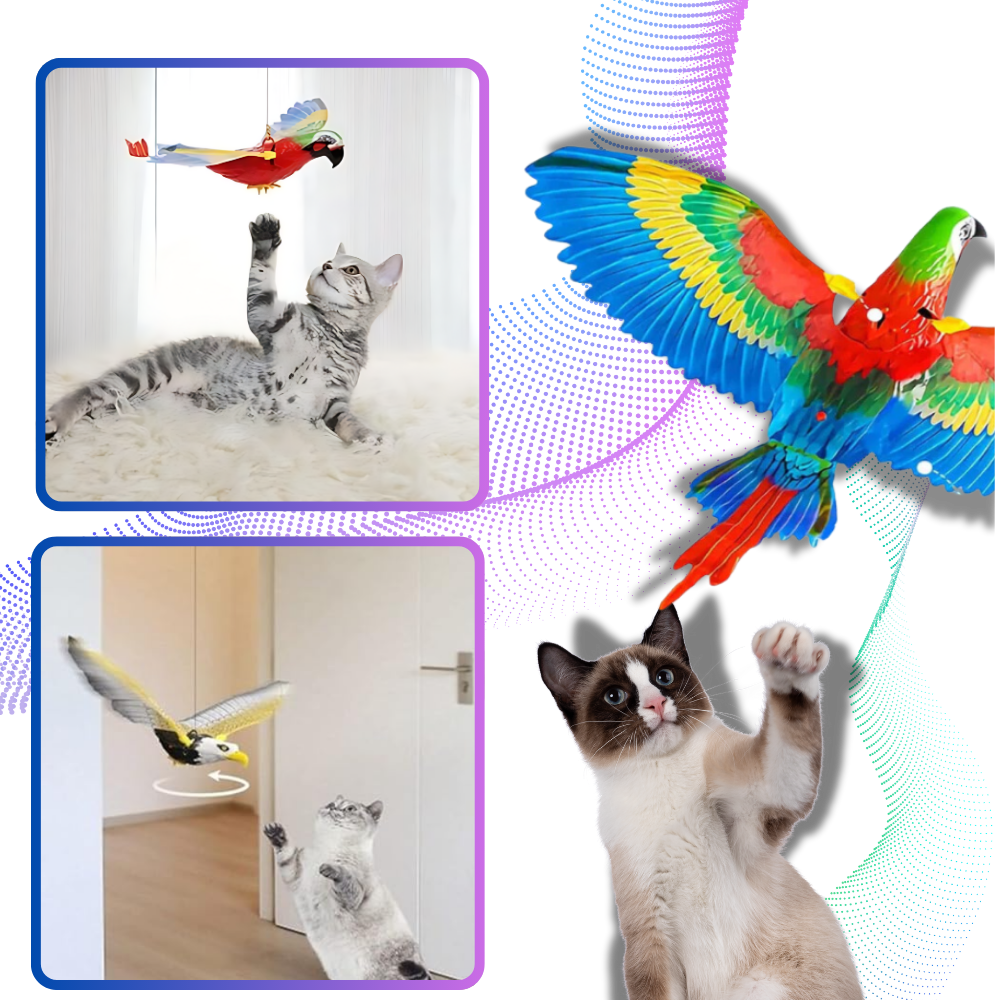 Jouet oiseau volant pour chat à suspendre