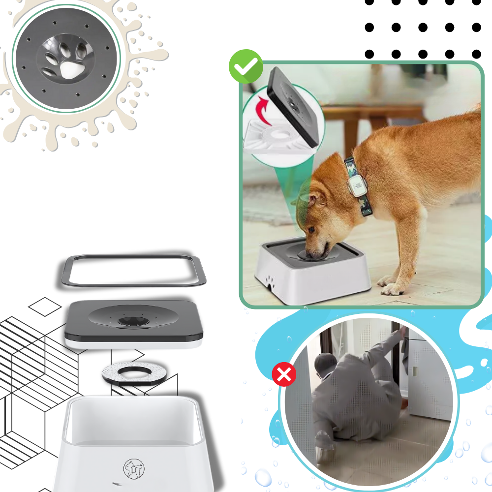 Gamelle anti-éclaboussures pour chiens