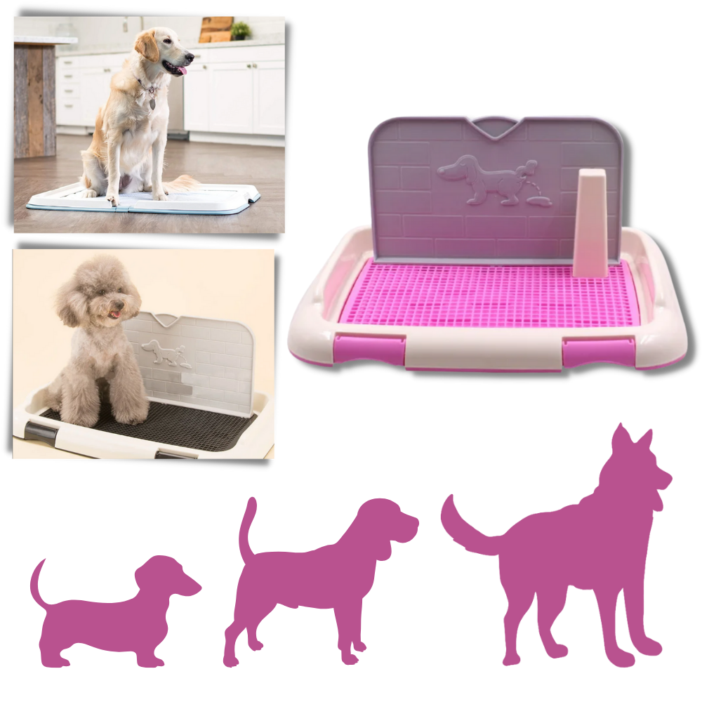 Tapis de propreté pour chien anti-éclaboussures