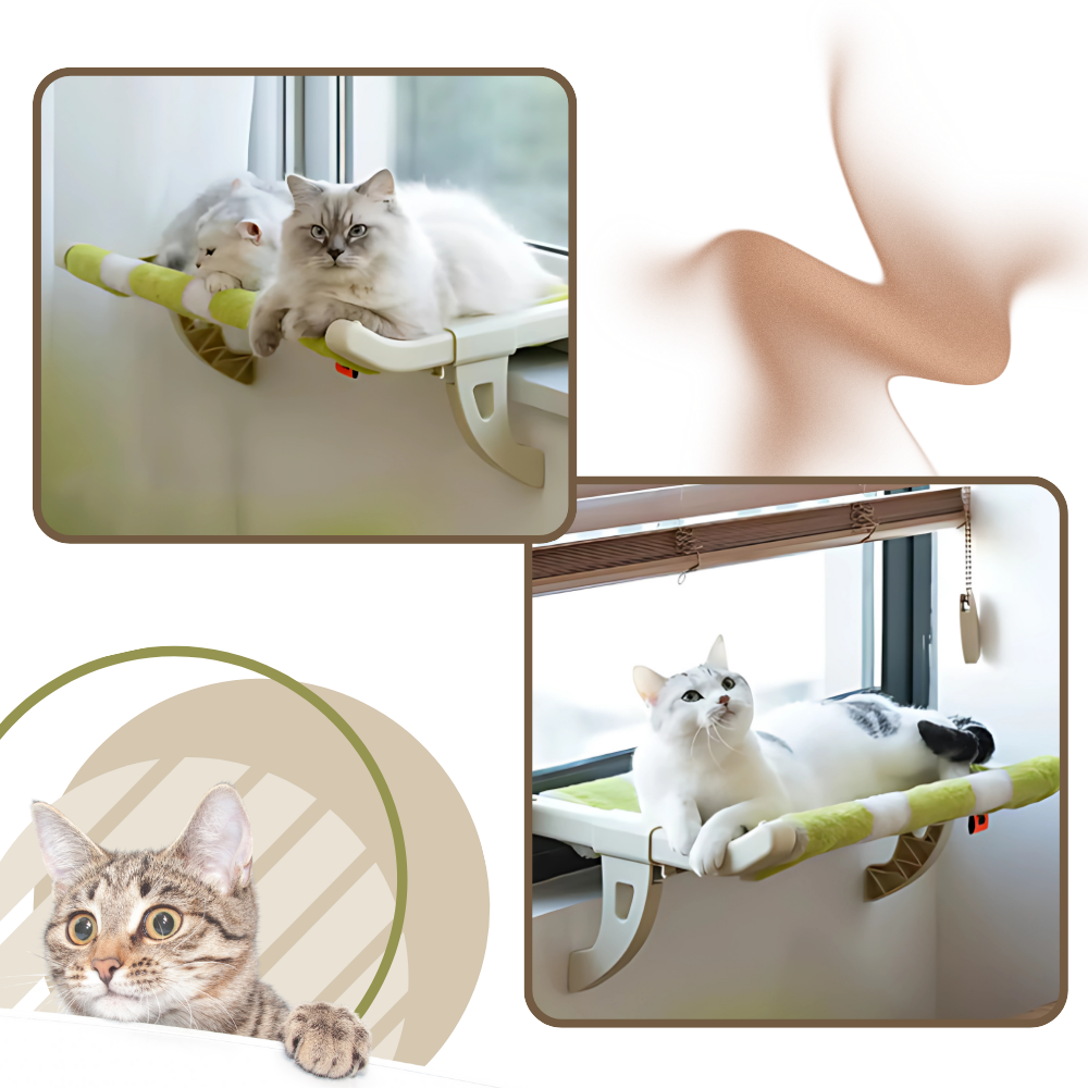 Lit pour chat et perchoir de fenêtre sans outil