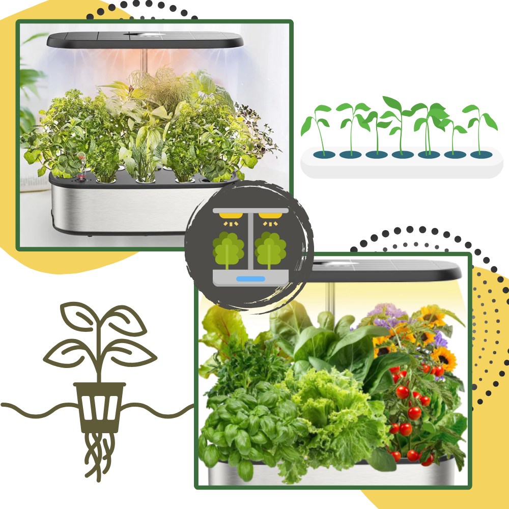 Jardin hydroponique avec 12 capsules de plantes