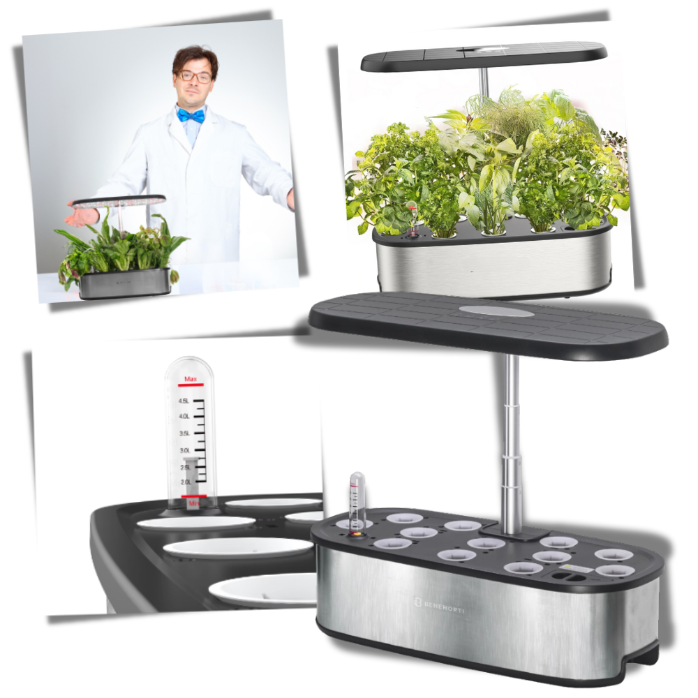 Jardin hydroponique avec 12 capsules de plantes