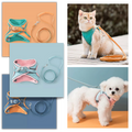 Ensemble harnais et laisse pour animaux