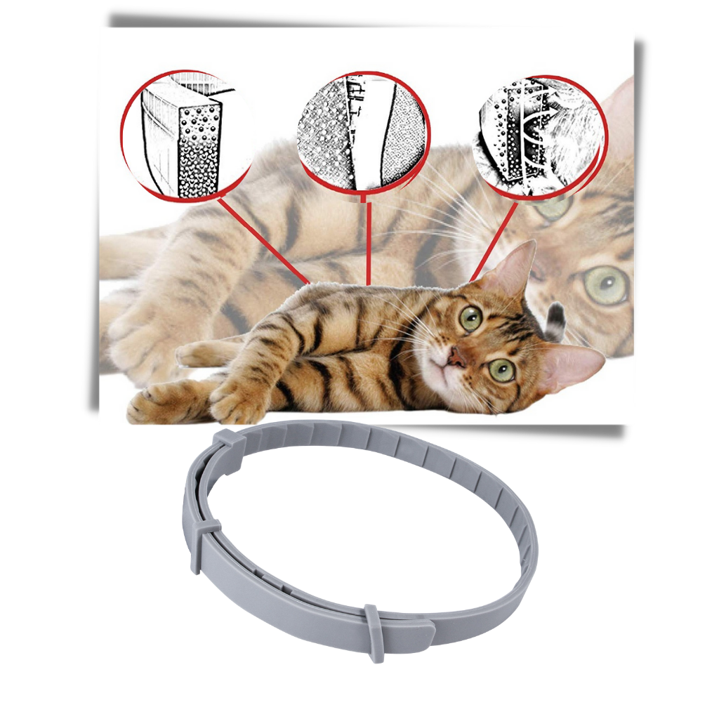 Collier anti-puces pour animaux de compagnie
