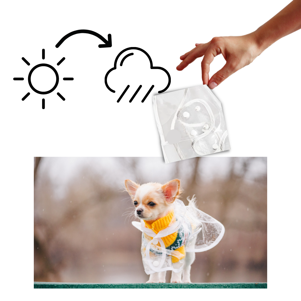 Imperméable à capuche pour chiens