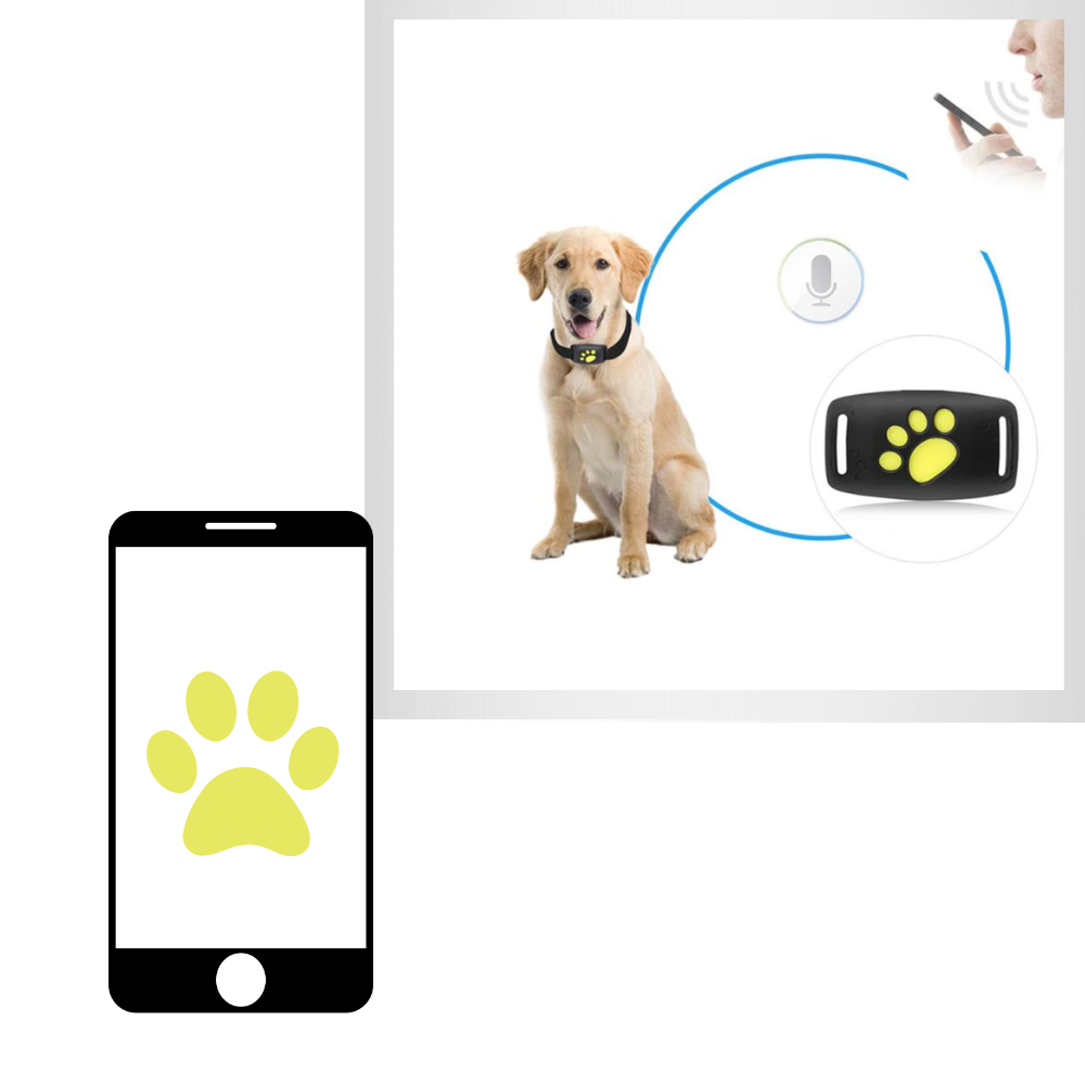 Collier de repérage GPS pour animaux de compagnie