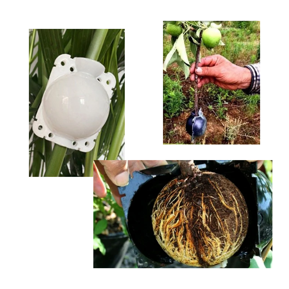 Lot de 3 boîtes à plantes pour la stratification de l'air