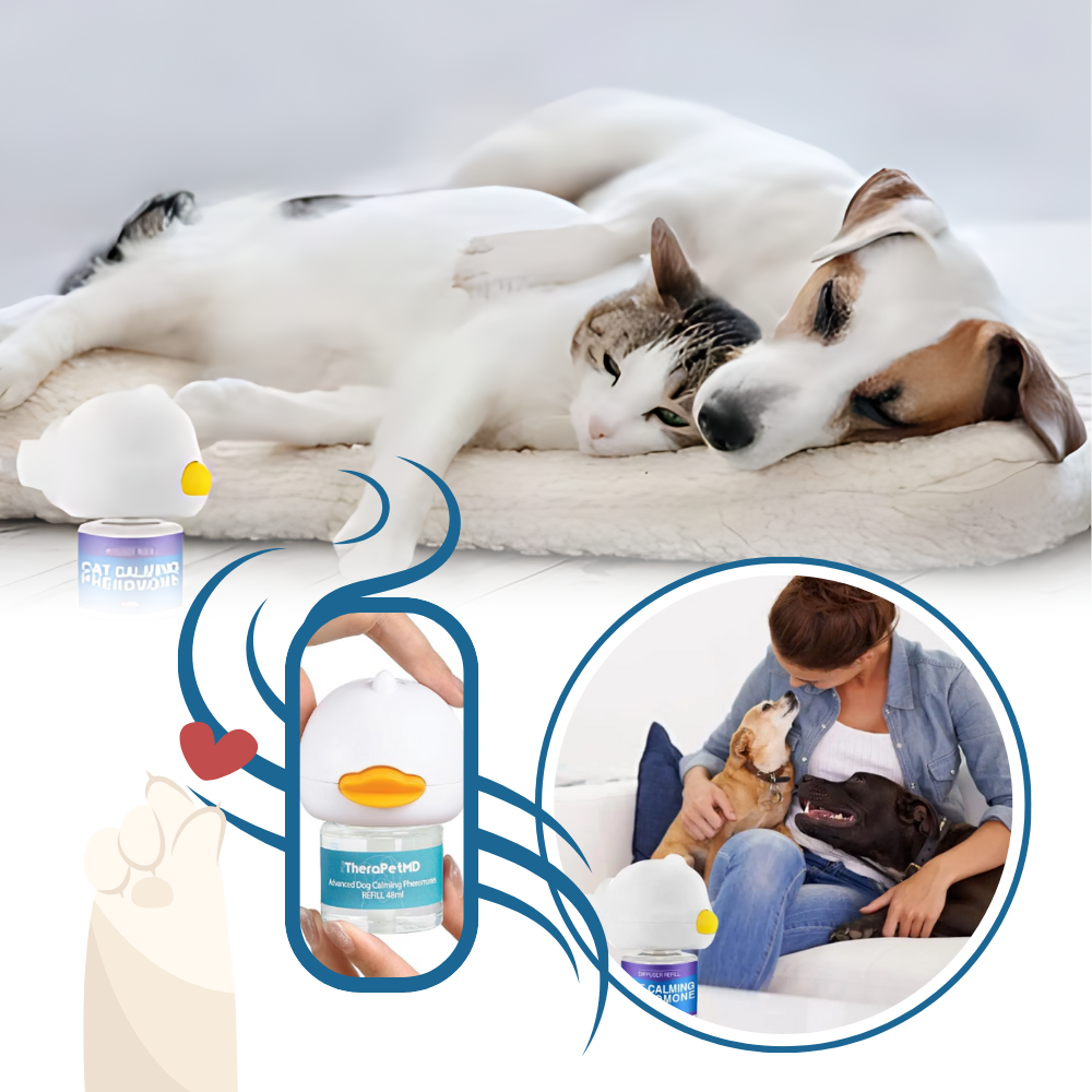 Phéromone apaisante pour animaux de compagnie