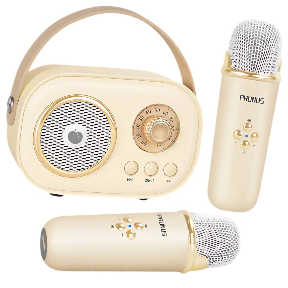 Mini Karaoké Bluetooth à double micro pour enfants