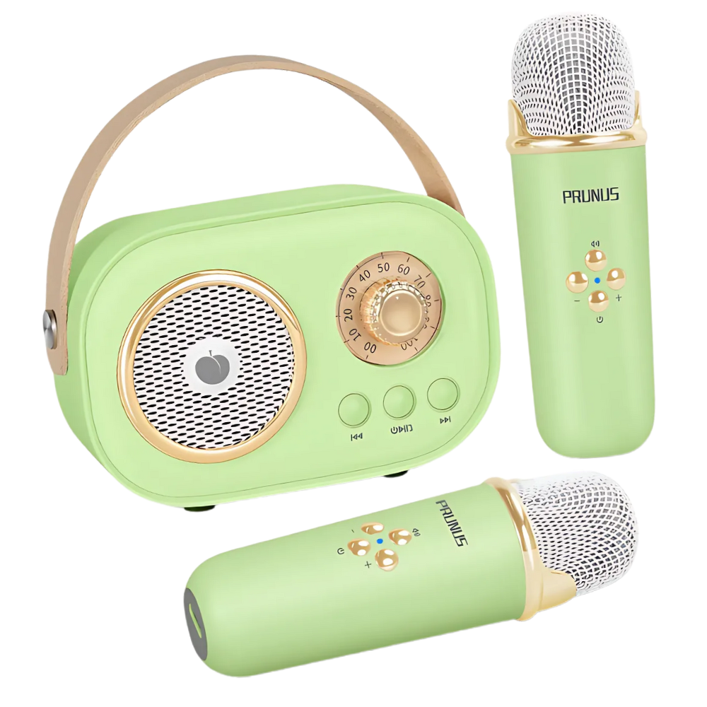 Mini Karaoké Bluetooth à double micro pour enfants