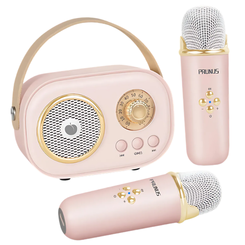 Mini Karaoké Bluetooth à double micro pour enfants