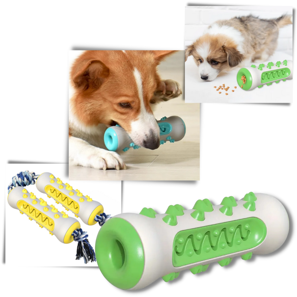 Jouet à mâcher pour chiens