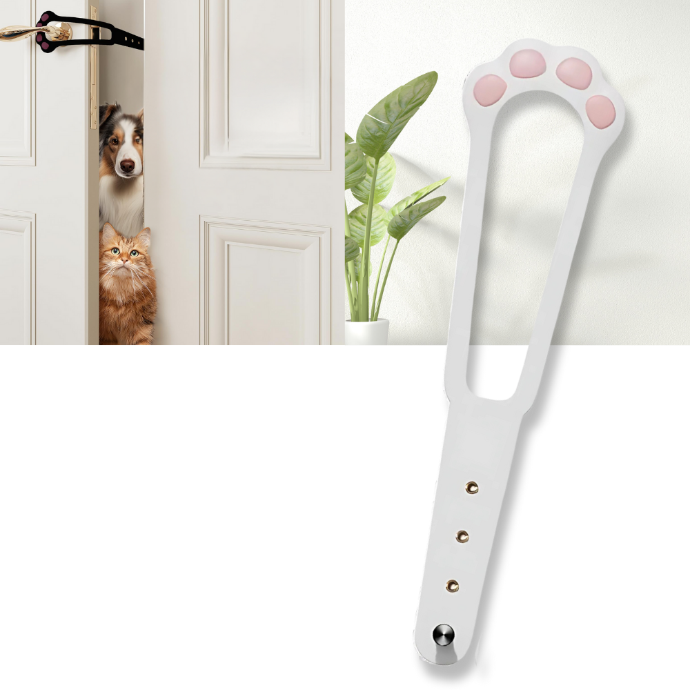 Loquet de porte innovant pour chats