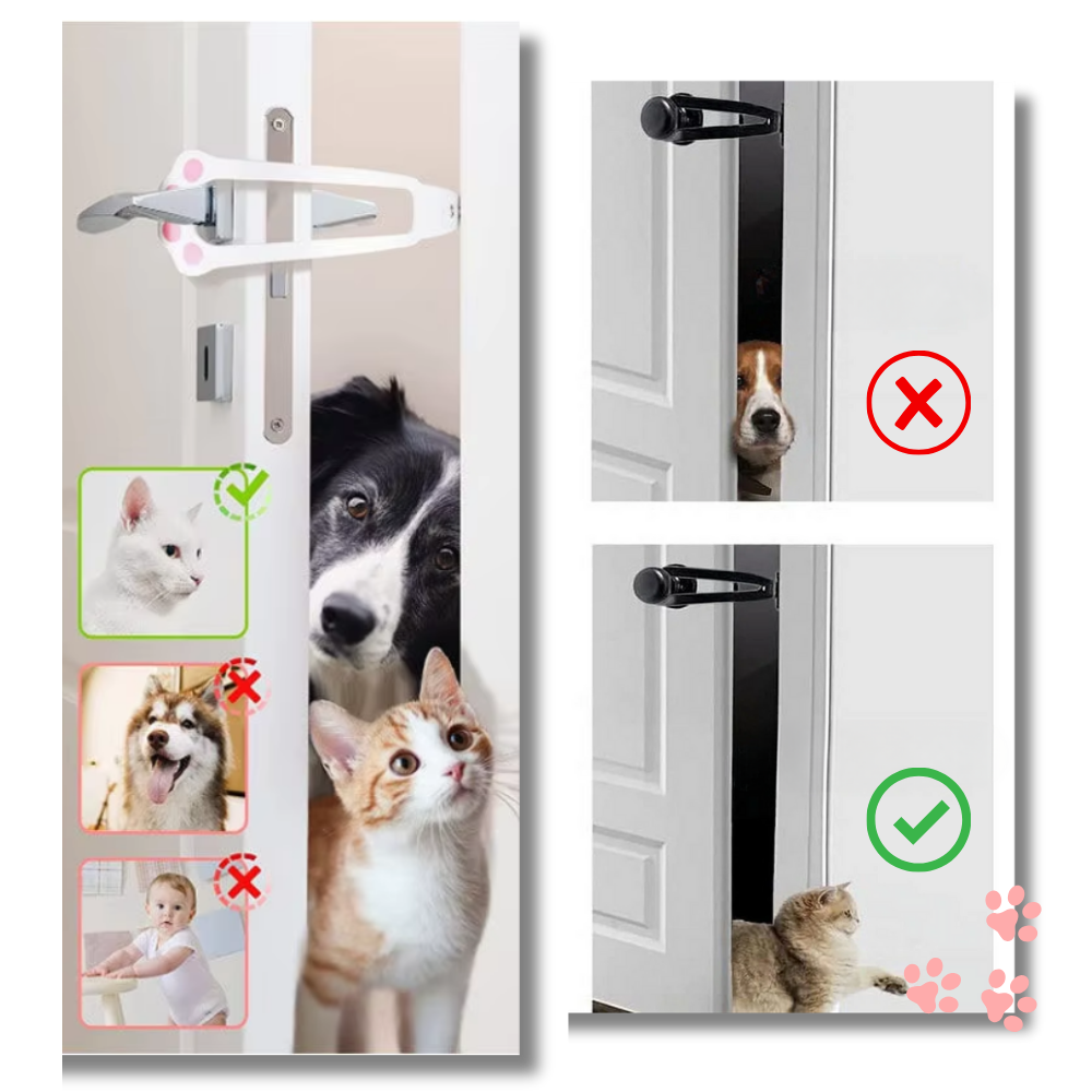 Loquet de porte innovant pour chats