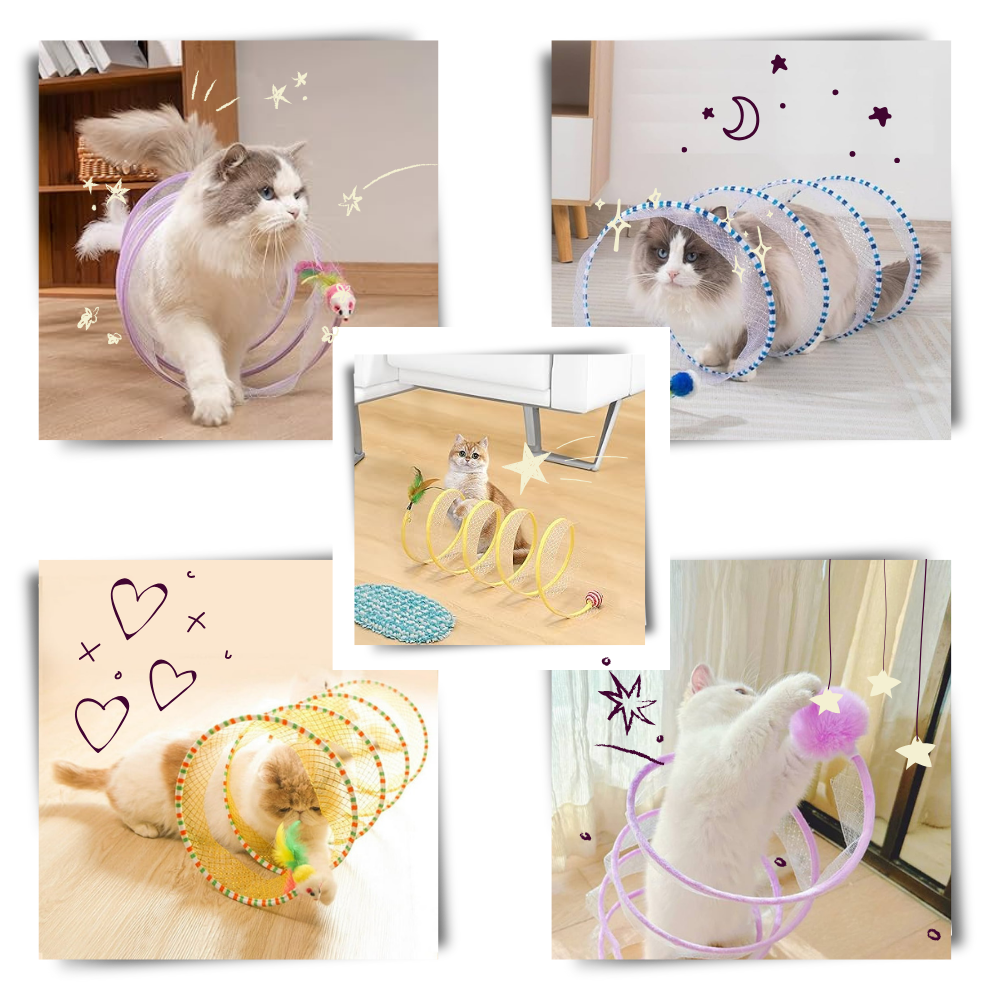 Tunnel compact interactif pour chats