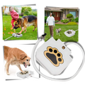 Fontaine à eau pour chien à activation par la patte