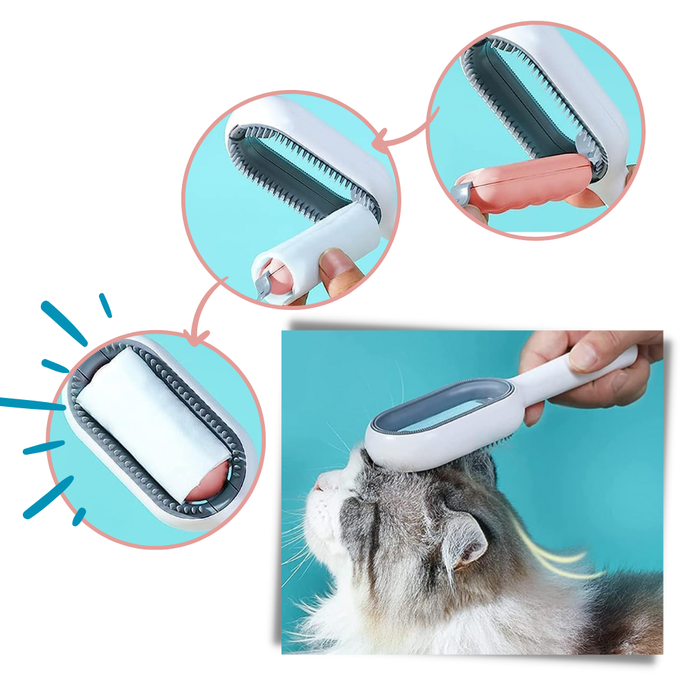 Brosse de toilettage avec réservoir d'eau