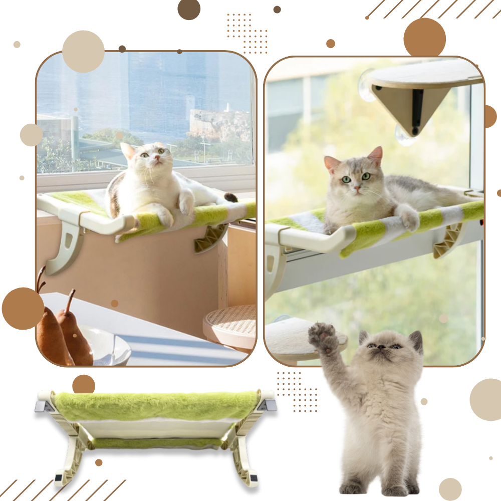 Lit pour chat et perchoir de fenêtre sans outil